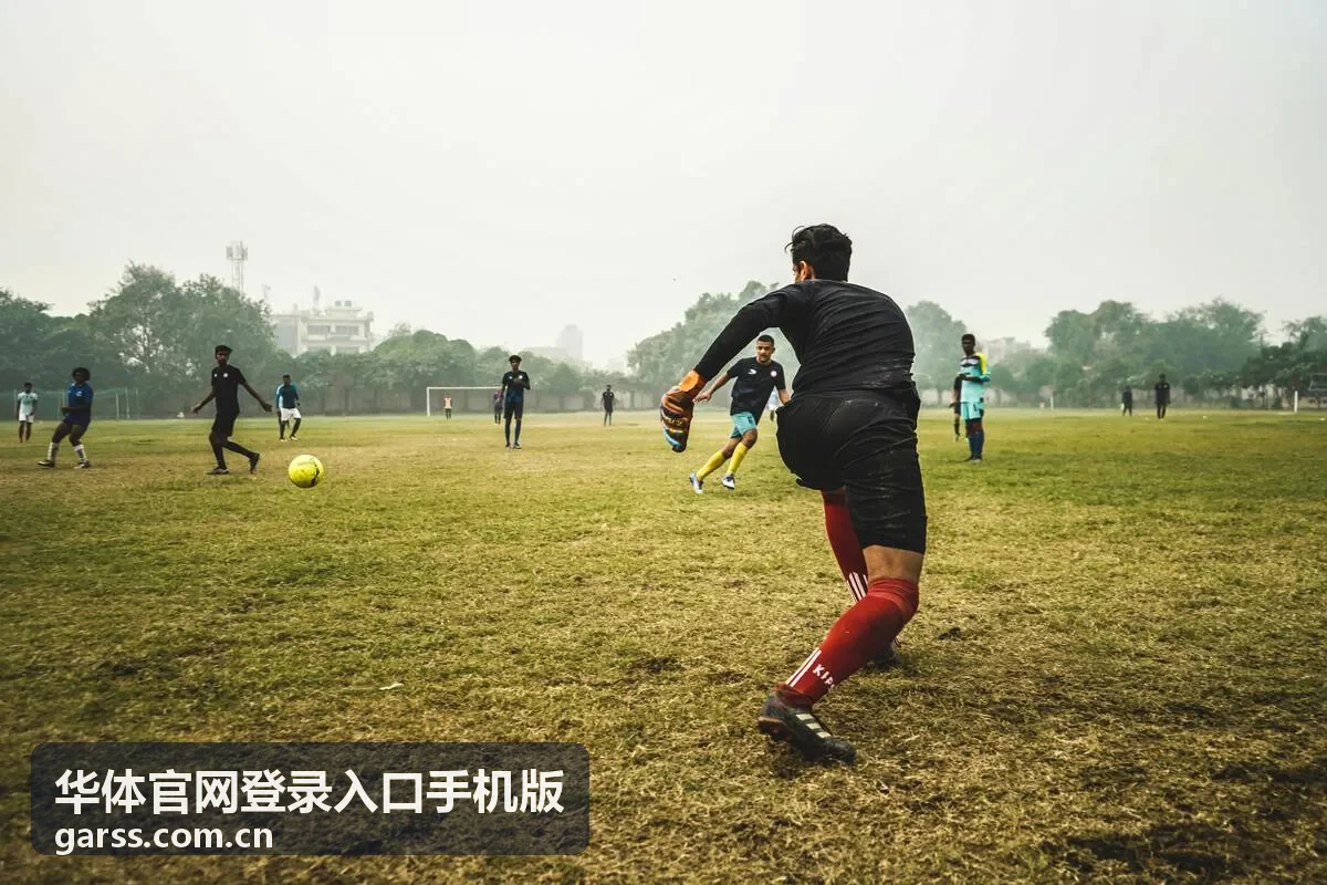 手机端登录时验证码输入界面的示意